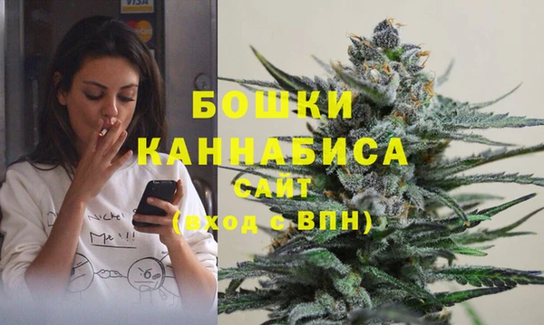 дмт Горнозаводск