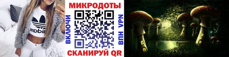 Псилоцибиновые грибы Psilocybe  OMG ссылки  Чебаркуль  продажа наркотиков 